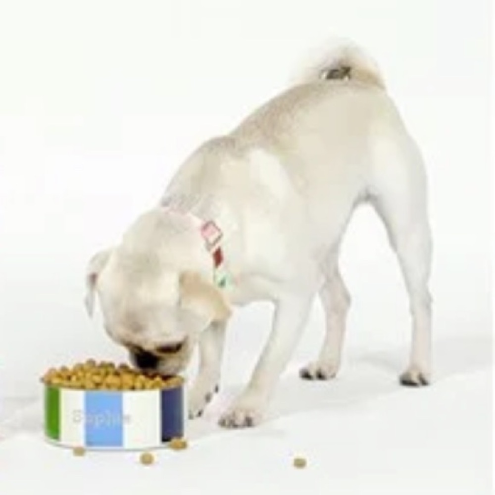 Kate Spade M/L  Adventure Stripe Pet Bowl - Picture 2 of 13